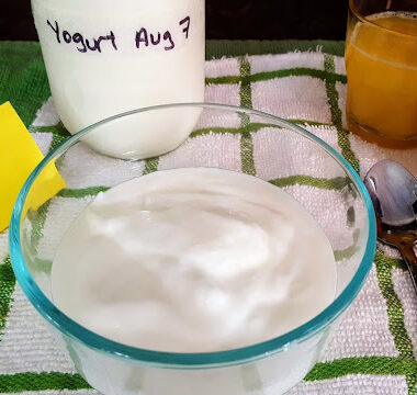 How To Make 2-Ingredient Yogurt photo