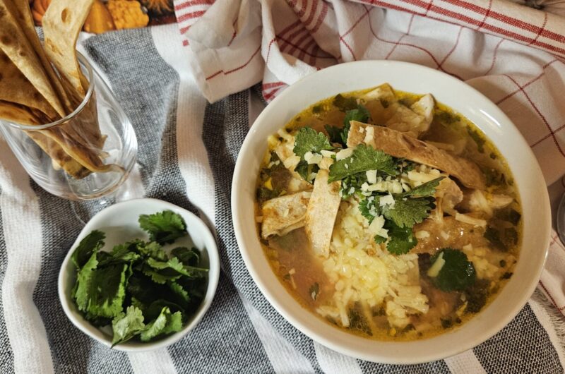 Mexican-Style Tomato and Chicken Soup with Tortillas